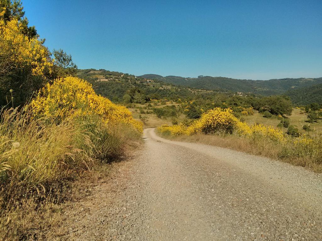Forte Di Tregognano Chiaveretto Δωμάτιο φωτογραφία