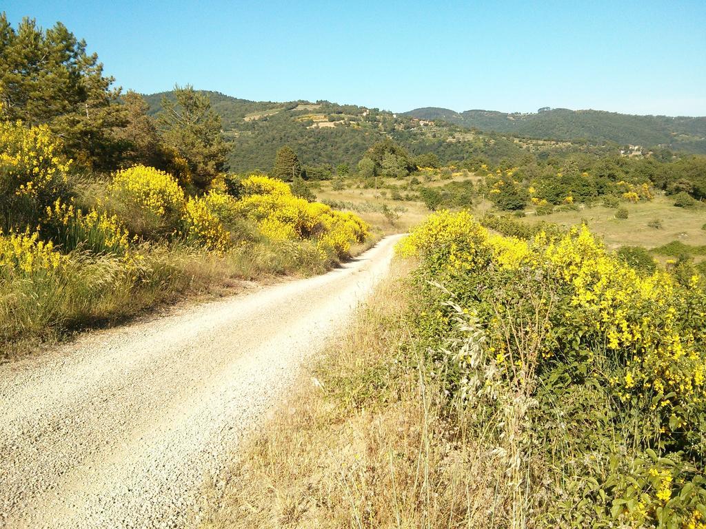 Forte Di Tregognano Chiaveretto Δωμάτιο φωτογραφία